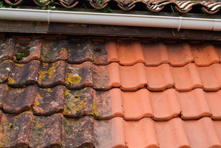 Pourquoi le démoussage de toiture est-il essentiel à La Rochelle ?